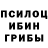 Псилоцибиновые грибы Magic Shrooms Dr.Mariappan R